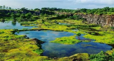 17K Punekars Sign An Online Petition In Efforts To ‘Save Vetal Tekdi ...