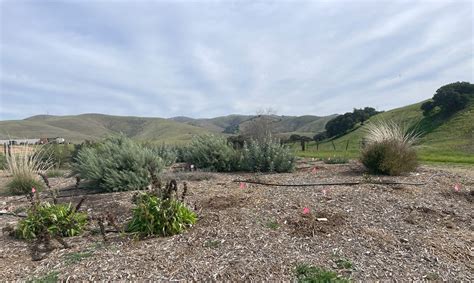 Garden – Salinas Valley Solid Waste Authority