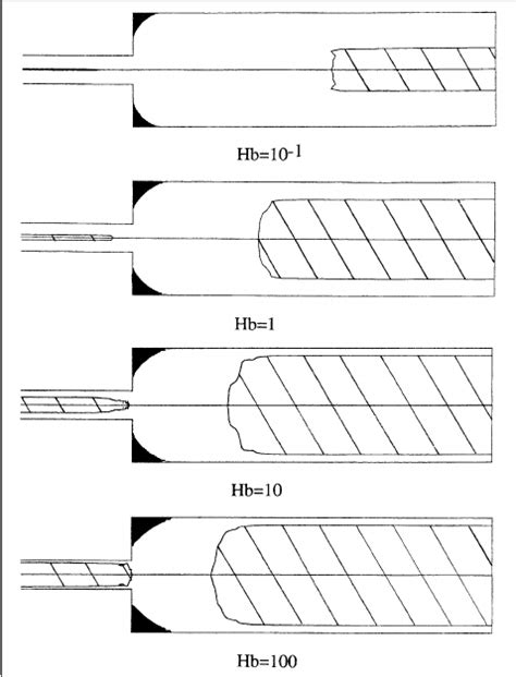Image result for Rela Flow