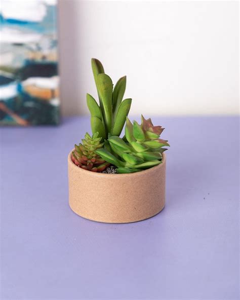 VON CASA Artificial Flower with Pot, Multicolour, Plastic & Paper - VON ...