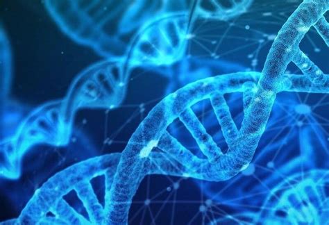 Scammers turn tables on hackers seeking OnlyFans account takeover | SC Media