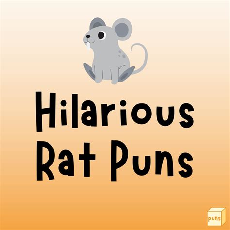 50+ Hilarious Rat Puns - Box of Puns