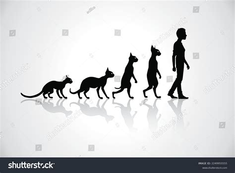 Funny Human Evolution Chart 的图像结果