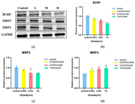 Study on the Effect of Pharmaceutical Excipient PEG400 on the ...
