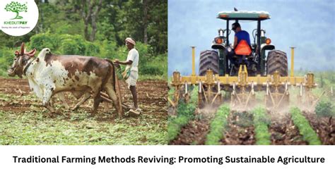 Farming Methods 的图像结果