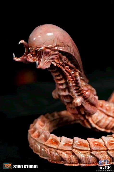 Alien vs Predator Chestburster 的图像结果