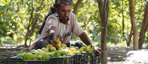 Yemen | United Nations Development Programme