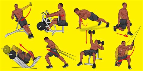 Muscle Excecise 的图像结果