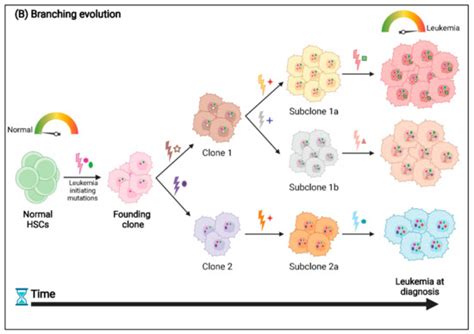 Dissecting the Genetic and Non-Genetic Heterogeneity of Acute Myeloid ...
