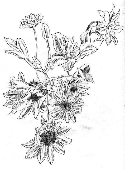 Simple Line Drawings Of Flowers - Drawing Word Searches