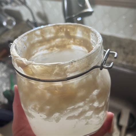 225+ Best Sourdough Starter Names Ideas - Rooted At Heart