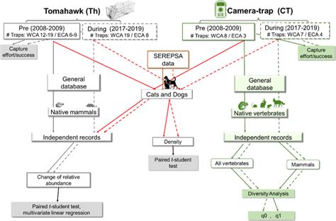 Image result for Sampling Element
