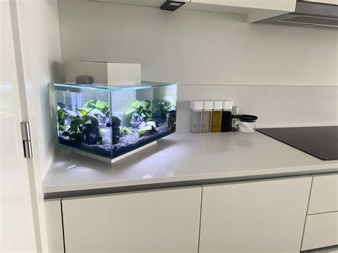 Nitrogen cycle completed? I’ve started my cycle last week and i’ve ...