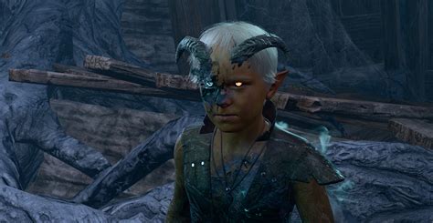 Baldur's Gate 3: Navigating the House of Flowers in BG3, explained