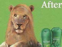 Humorous Ads 的图像结果