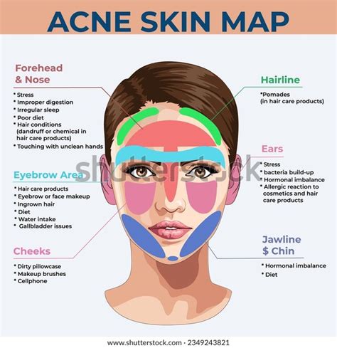 Image result for Skin Tissue Texture Mapping