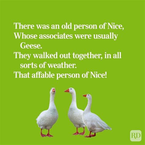 Image result for Limerick Poem Examples