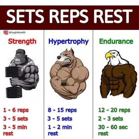 Sets , reps and rest for strength, hypertrophy and endurance | Gym ...