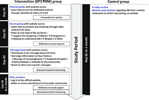Image result for Intervention Optimization Process
