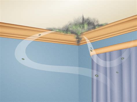 How to Clean Mold Off Wood: Furniture, Floors, & More