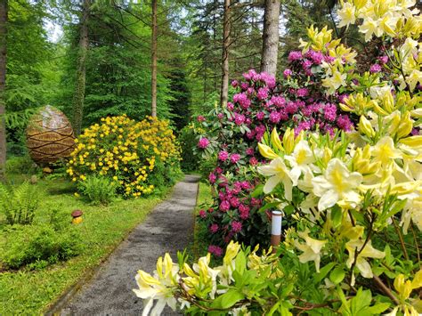 GALERIE FOTO - Arboretum Lądek-Zdrój