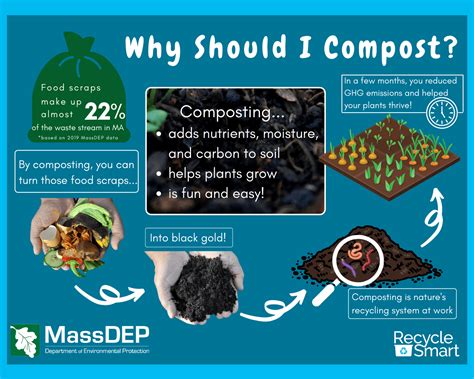 Composting Infographic 的图像结果
