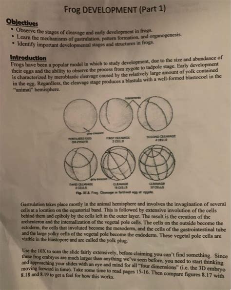 Image result for Frog Development CSIR Pyq