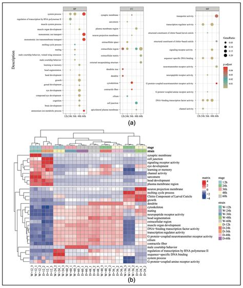 Transcriptomic Analysis Reveals Patterns of Expression of Stage ...