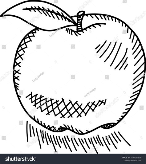 Image result for Apple Line Vector