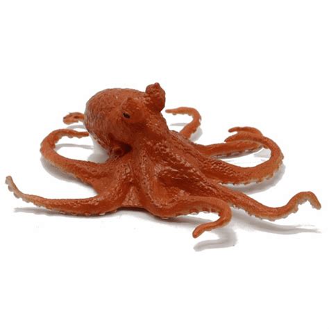 Image result for Octopus Metaheuristic Algorithm