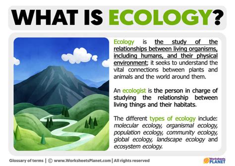 Ecology Examples 的图像结果