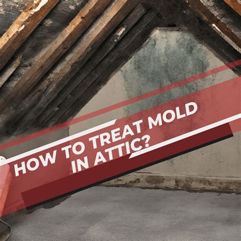 How to Treat Mold in Attic?
