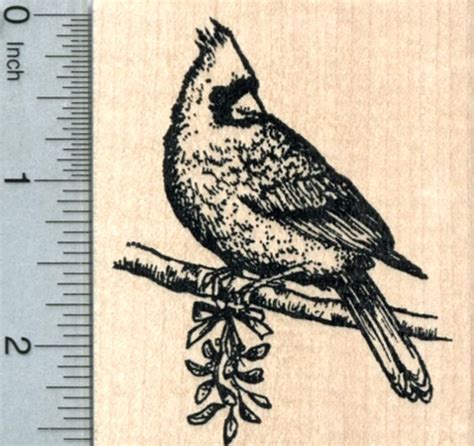 RubberHedgehog Cardinal Bird Rubber Stamp : Amazon.in: Toys & Games