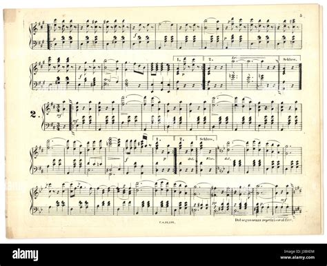 'Donauwalzer' or the 'Danube Waltz' is a famous waltz composed by ...