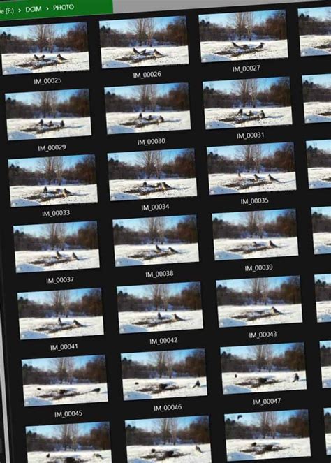 Trail Camera to Computer 的图像结果