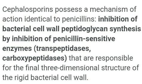 Moa of cephalosporin - Brainly.in