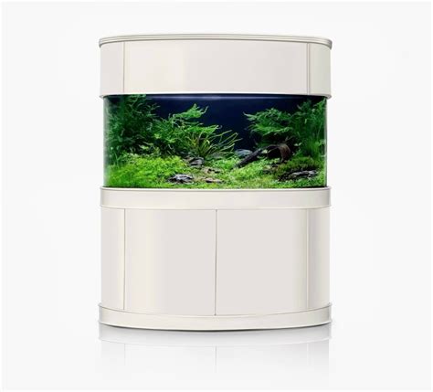 Luxury Bowfront Glass Fish Tanks | Luxury Home Aquariums - AQUA VIM