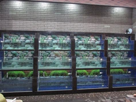 深圳两层海鲜池鱼缸定制-工程案例-移动海鲜池制作-餐厅海鲜池