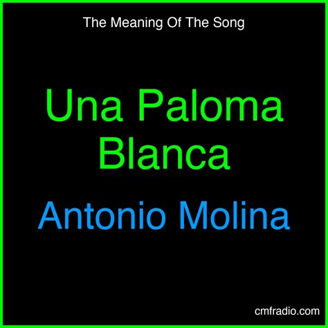 Una Paloma Blanca Song Meaning - Antonio Molina | Lyrics Analysis