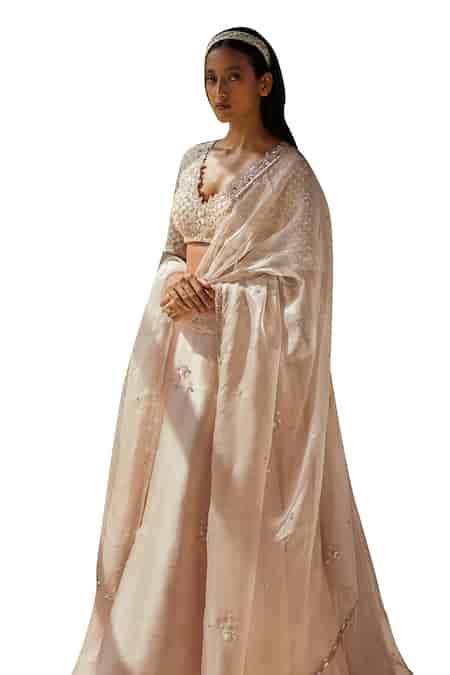 Buy Pink Silk Organza, Crepe Sequins, Embroidery V-neck Aari Hand Skirt ...