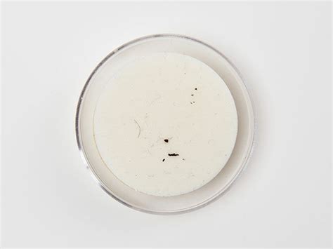 Particle monitoring and assembly cleanliness