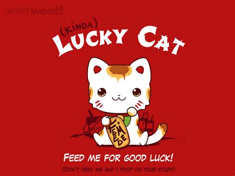 Image result for Lucky Number Java Program