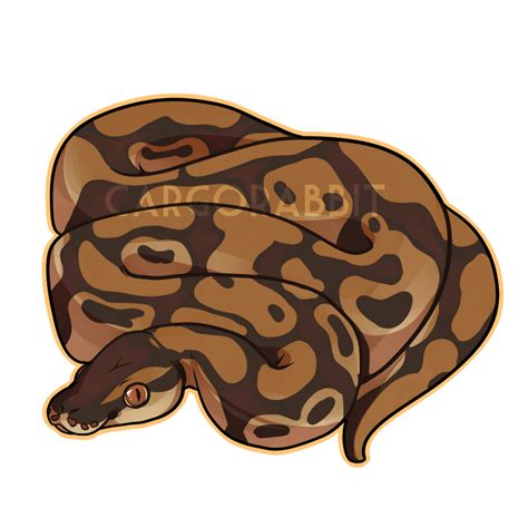 Image result for Ball Python Fabric