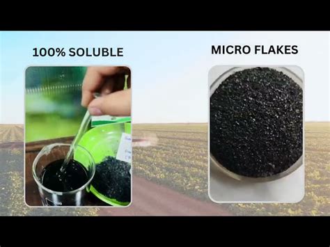 Humic Acid Trader - Wholesaler / Distributor from Sangli