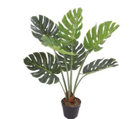 3 Feet Monstera Plant – florifera