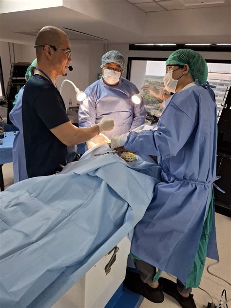 Prosthetic Radial Head 的图像结果