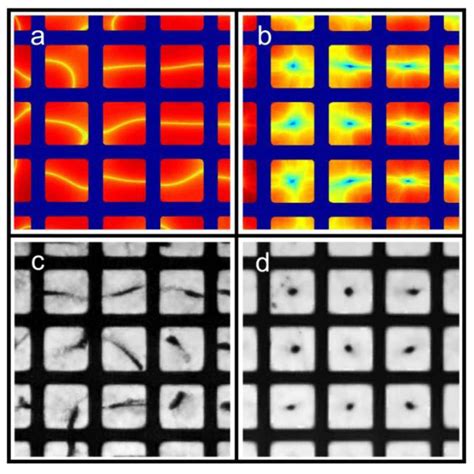 Micromachines | Special Issue : Micro/Nanofluidic Devices for Single ...