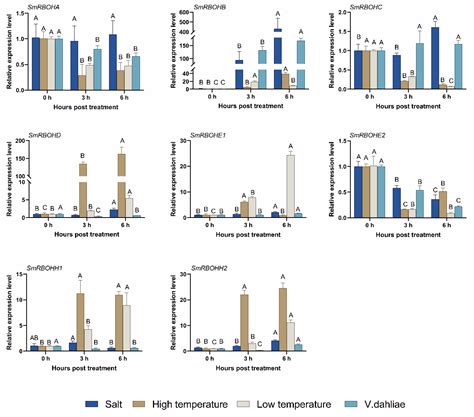 Genome-Wide Identification and Expression Analysis of Respiratory Burst ...