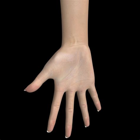 Image result for Female Hand 3D Modeling