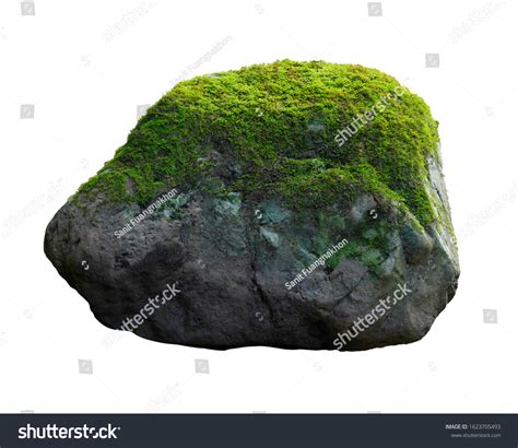 Moss On Rocks Hd